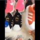 Shop giày thể thao Capvirgo